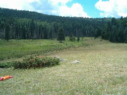 The trail to Wild Horse from Crooked Creek